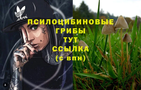 ешки Богородицк