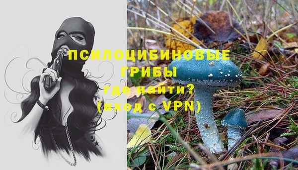 a pvp Беломорск