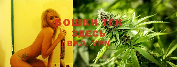 ешки Богородицк