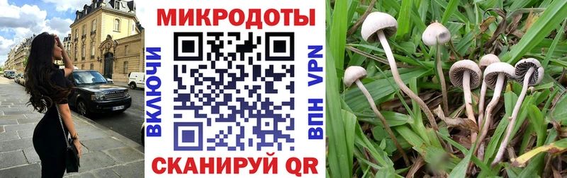 Псилоцибиновые грибы Psilocybe  магазин продажи наркотиков  Касли 